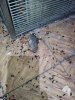 IMG_20170216_084016.jpg