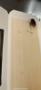 4E2C9ABE-BDA7-48E9-BA7D-D49580F2D8C4.png