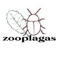 zooplagas